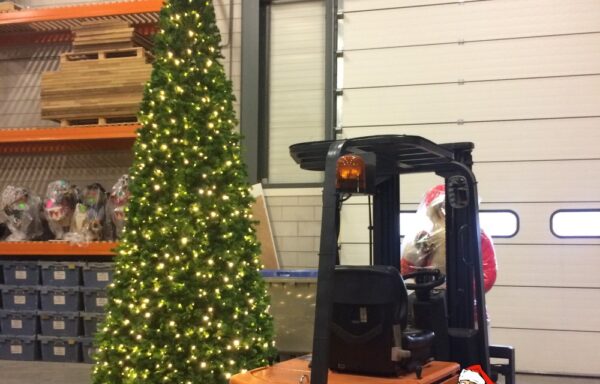 Kerstboom, PRO-serie
